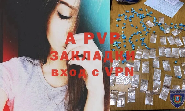 дмт Бородино