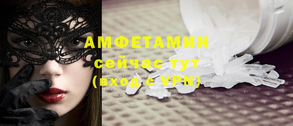 дмт Бородино