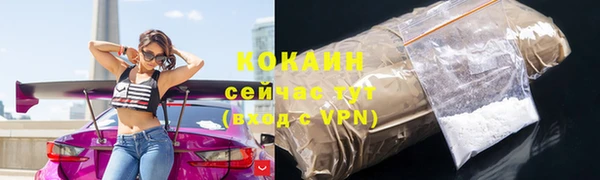 дмт Бородино