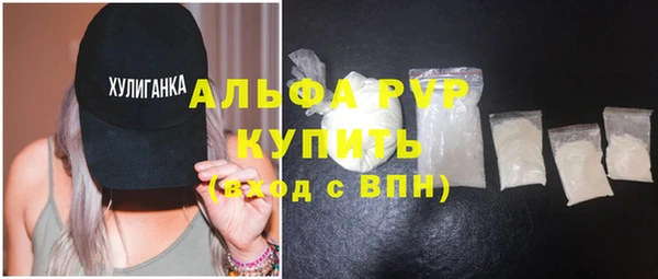 дмт Бородино