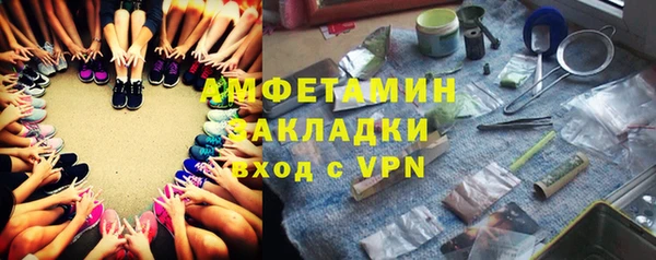 дмт Бородино