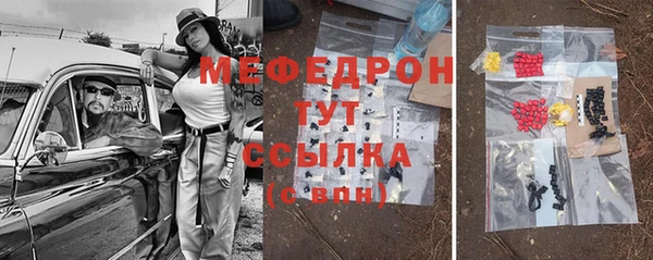 дмт Бородино