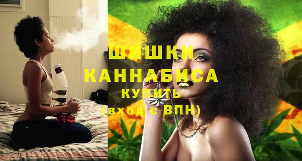 дмт Бородино