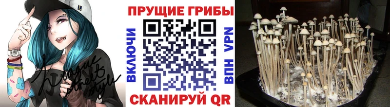 Галлюциногенные грибы мухоморы  omg маркетплейс  Гуково 